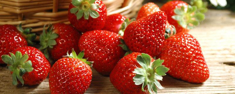 绿色的草莓可以吃吗 草莓绿色的茎能吃吗