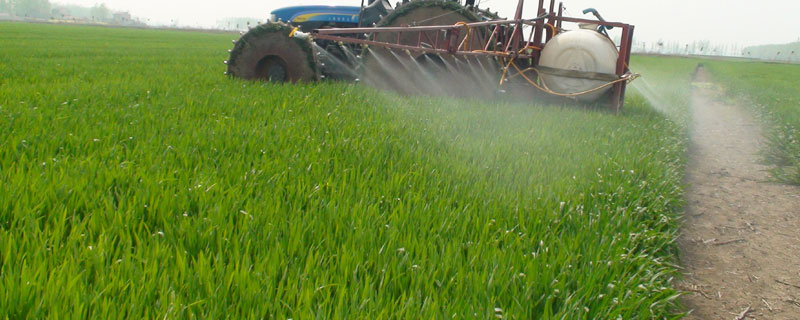 除草剂是酸性还是碱性 玉米田除草剂是酸性还是碱性