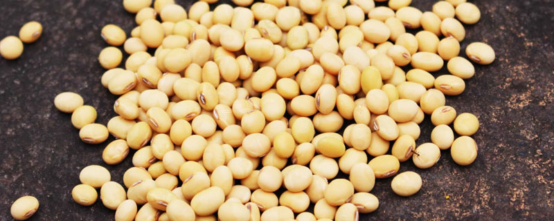 黑龙江大豆种植和产量 黑龙江大豆的种植现状