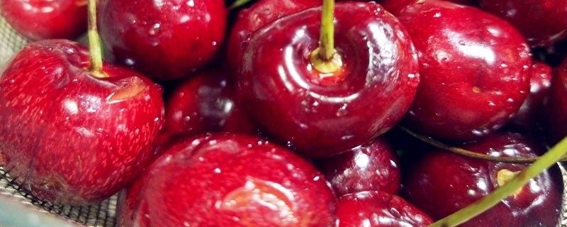 樱桃和车厘子的区别 樱桃和车厘子的区别营养价值