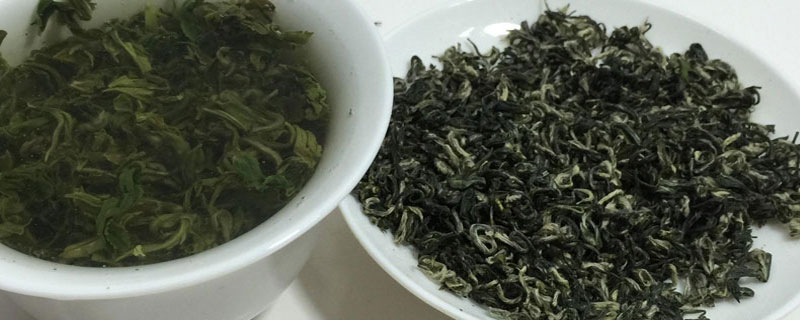 绿茶怎么分辨好坏 绿茶如何分辨好坏