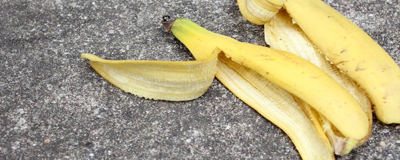 香蕉皮怎么做肥料养花肥料 怎么用香蕉皮做肥料