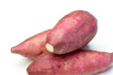 红薯 红薯发芽了还能吃吗