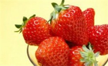 草莓香蕉芭乐向日葵秋水一色 草莓