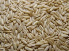 燕麦的功效与作用禁忌 燕麦