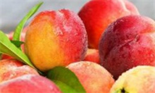 桃子的功效与作用能有减肥瘦身 桃子
