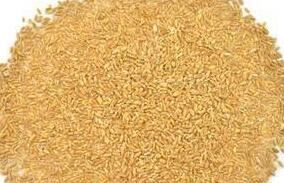 浮小麦怎么用止汗效果最好 浮小麦