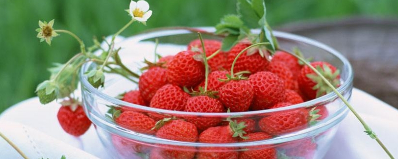 草莓果子小就红了是什么原因 草莓特别小就红了是什么原因