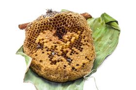 蜂房的用法与用量 蜂房