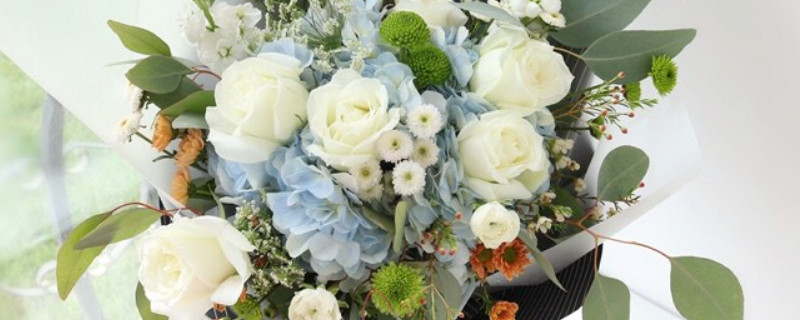 蓝绣球和白玫瑰搭配的意思 白玫瑰加蓝绣球花语