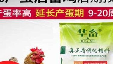 鸡用复合添加剂的功效如何 鸡用添加剂品牌