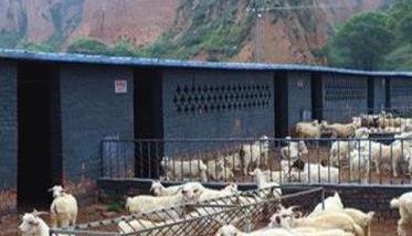 养羊良种繁育基地建设的具体做法