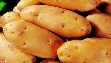 马铃薯的营养价值及功效 马铃薯的营养价值及功效与禁忌