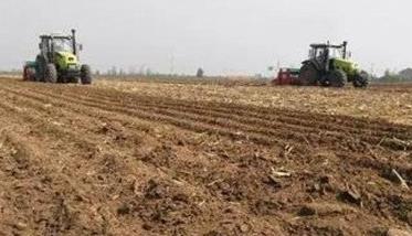 玉米保护性耕作的要求和要点 小麦保护性耕作操作要点