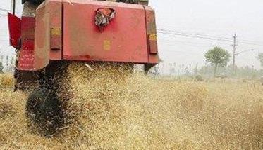 稻草全量还田种植小麦的新方法（稻草还田技术）