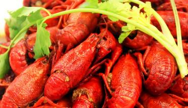 龙虾的营养价值和功效和禁忌 龙虾的营养价值