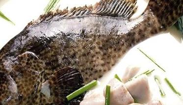 龙趸石斑鱼的营养价值 石斑鱼的营养价值