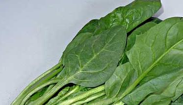 菠菜的营养价值及其保健作用 菠菜的营养价值和对人体的作用