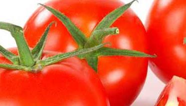 西红柿-有关西红柿的资料 西红柿的详细资料