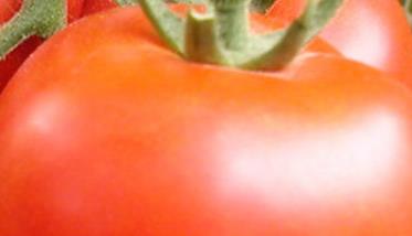 西红柿的营养和好处 西红柿的营养价值－吃西红柿的好处