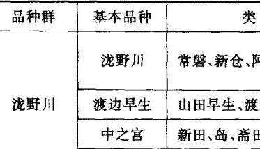 牛蒡的主要栽培技术要点 牛蒡的种植技术