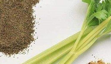 芹菜种植方法 家里芹菜种植方法