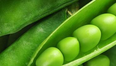 荷兰豆的营养价值与功效与禁忌 荷兰豆的营养价值与功效