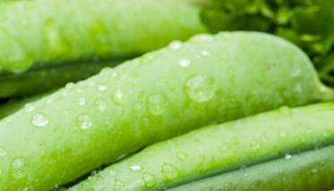 豌豆的营养价值与功效及禁忌 豌豆的营养价值与功效