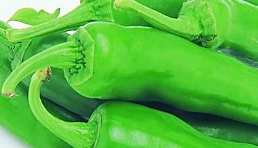 青椒的营养价值及功效与作用对孩子 青椒的营养价值及功效