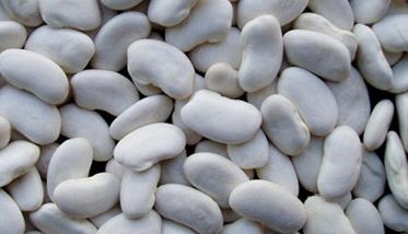 白扁豆的功效与作用及食用方法 三种人不宜吃白扁豆