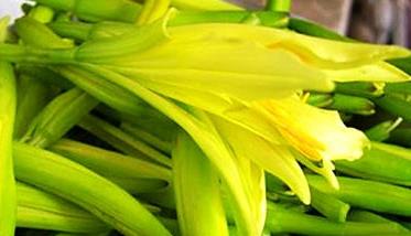 黄花菜的营养价值和医疗作用 黄花菜的营养价值和功效