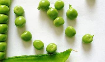 你知道豌豆的营养价值有哪些? 豌豆的营养价值和营养成分