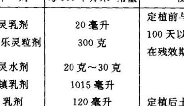 青花菜的种植和管理 青花菜田间管理方法