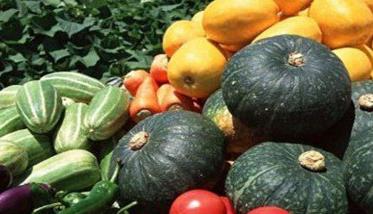 蔬菜种子的有效期限 蔬菜种子使用年限
