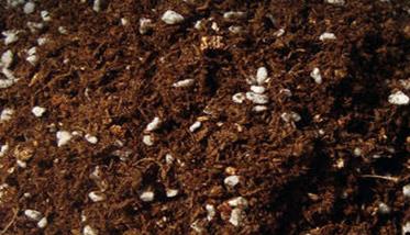 石榴盆栽的培养土配制
