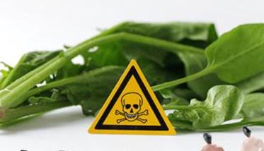 蔬菜上几种常用农药的安全间隔期是多少