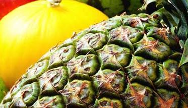 菠萝种植管理方法