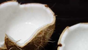椰子的营养价值与食用功效 椰子的营养价值与食用功效一样吗