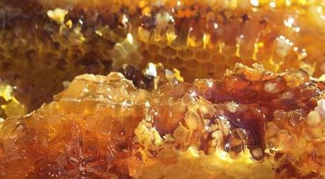 如何打造蜂蜜品牌 养蜂人怎么打造蜂蜜品牌