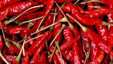 辣椒的出产地 辣椒的产地是哪些地方？