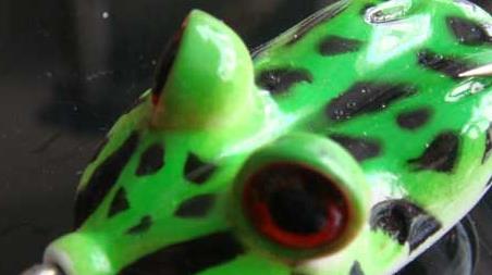 路亚雷蛙视频教程 路亚雷蛙的操作技巧