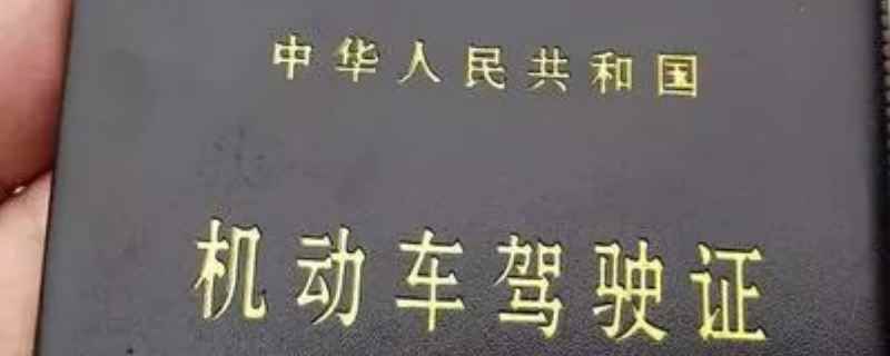 怎么查询驾照考试成绩