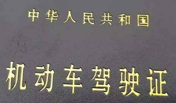 怎么查询驾校报名信息