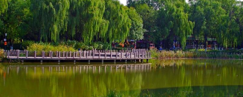 孙河属于北京哪个区 孙河镇属于北京哪个区