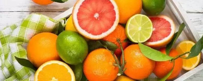 为什么水手以前常吃柑橘类水果 为什么水手要吃橘子
