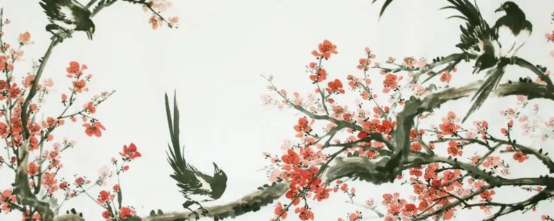 小鸟在梅花枝上的寓意 梅花上落一只鸟什么寓意