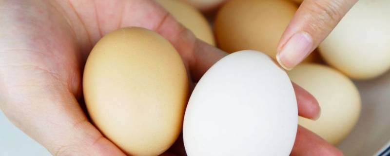 煮鸡蛋不宜用哪种容器 煮鸡蛋不宜用哪种容器 题库