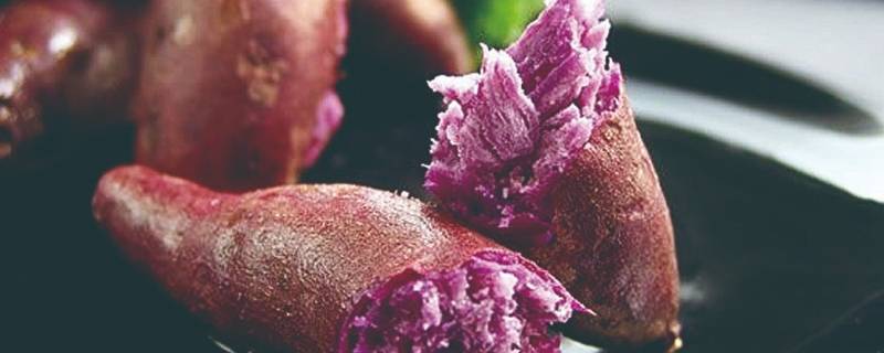 微波炉蒸紫薯要蒸多久 微波炉蒸紫薯需要多长时间