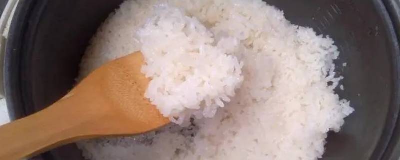 热米饭需要加水吗 自热米饭的米饭需要加水吗