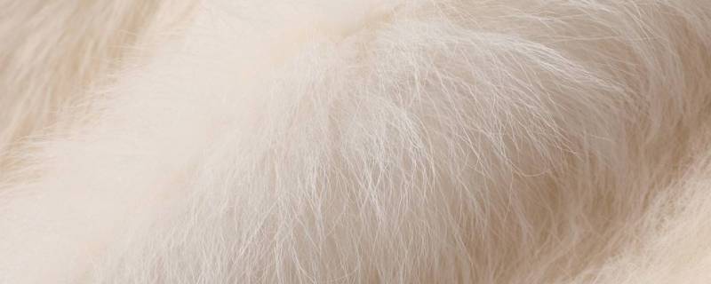 托斯卡纳羊毛是什么毛 托斯卡纳羊毛介绍